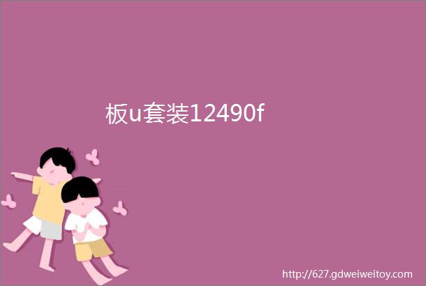 板u套装12490f